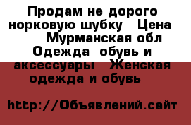 Продам не дорого норковую шубку › Цена ­ 45 - Мурманская обл. Одежда, обувь и аксессуары » Женская одежда и обувь   